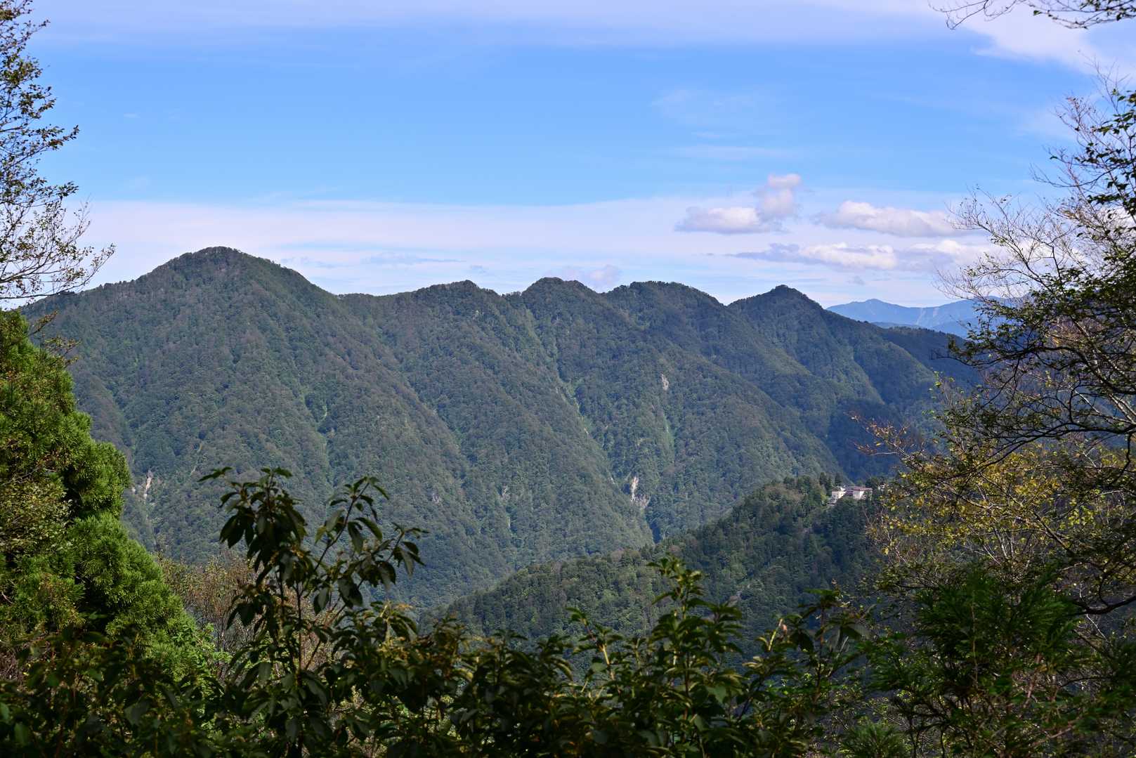 大辻山～七姫山への尾根
