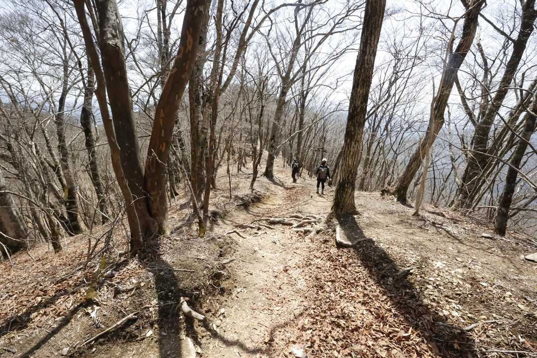 三頭山 の写真 4