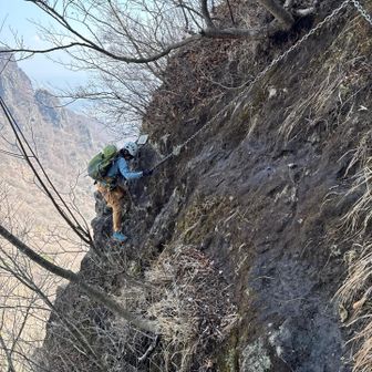 写真で見ると怖いけ😱