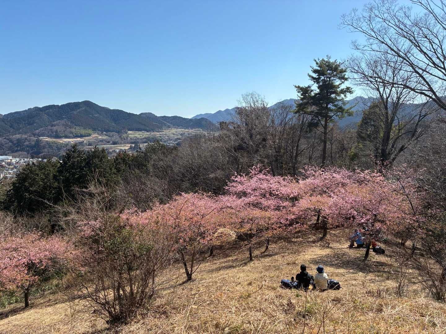 山頂には7〜8組ぐらい、日曜だけど比較的空いてます😊