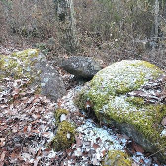 粉糖をのせた抹茶餅みたい😘