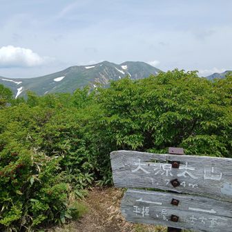 大源太山についた　気のせいかくる度に木が伸び景色が見えにくくなって来ている気がする。別に木が悪いわけではないのでそっとしておいてあげたらいいと思うけどね｡　失礼して三角点の上に立って撮影