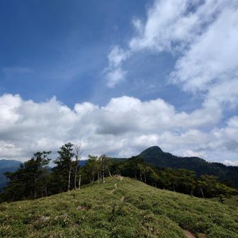 振り返れば釈迦ヶ岳