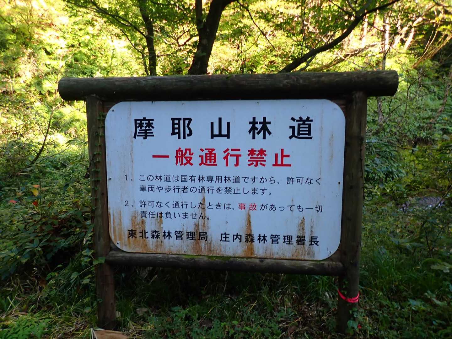 突然の3日間休み😅
働き過ぎと言われ(契約時間オーバー)　休みになってしまった😅
こんなチャンスは、めったにない✌️世間様も相方も連休🎶　ということで
前日突然の東北の旅に🚙