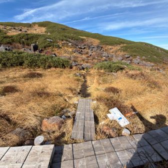 分岐から月山森へ
