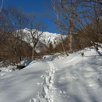 一部藪漕ぎしながら降りてきた〜♪