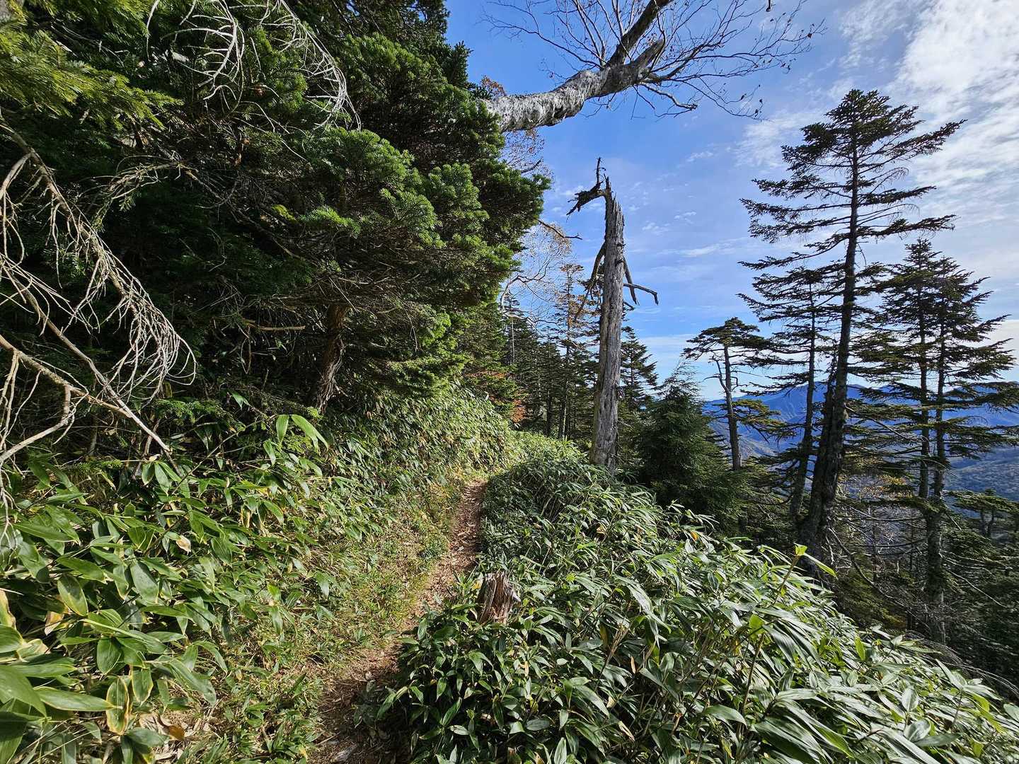温泉ヶ岳を下って、巻き道で根名草山に向かいます