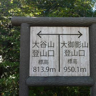 大御影山方向に登っていきます。
