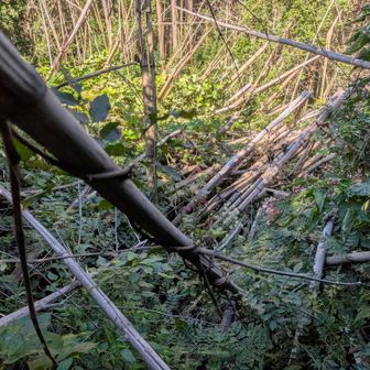 竹のピンクテープを見て、ここが正規ルートと分かり、巻道も見つけられずにこれ以上進むのは危険⚠️と引き返しました。8月の活動記録では通れていたのに