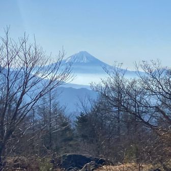 天女山から。　富士山やん。