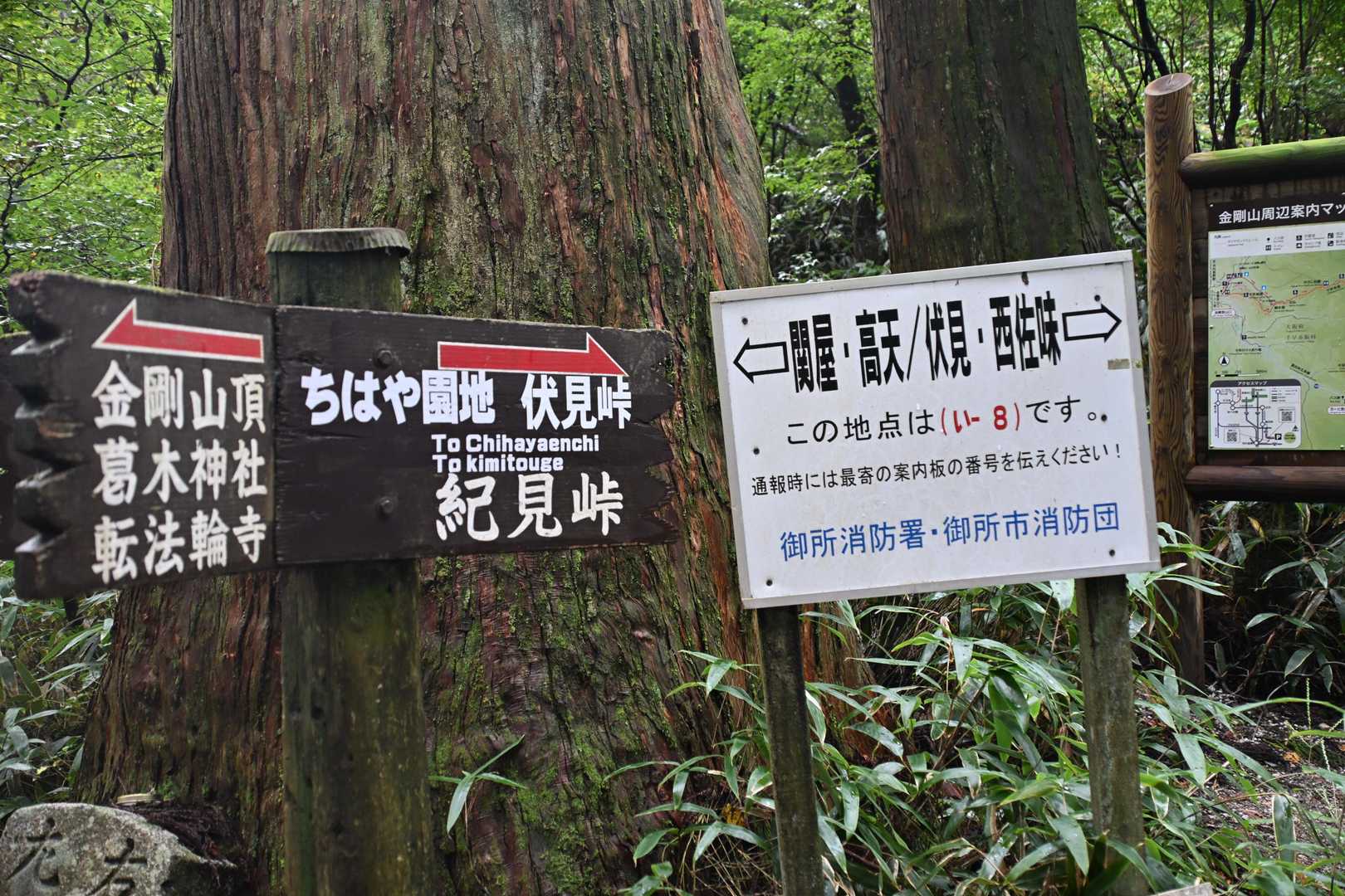 高天彦神社-府民の森 ちはや園地 往復コースの写真