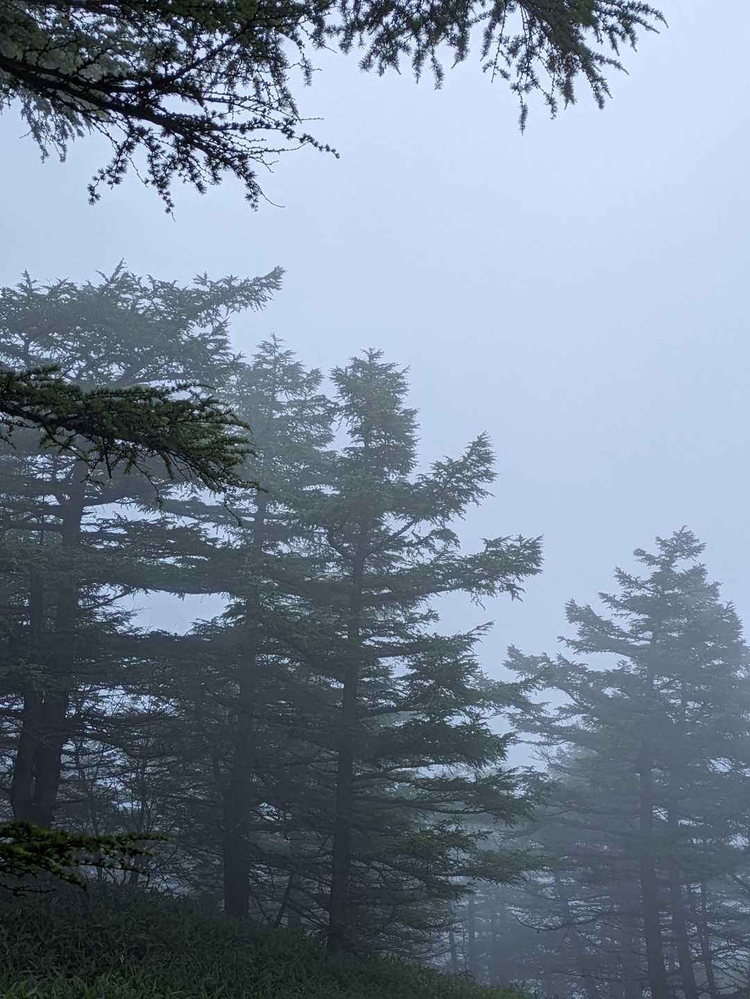 霧も多め