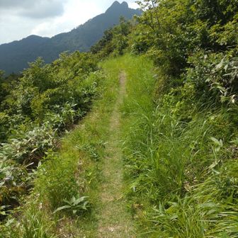 登山道の向こうに烏ヶ山が
手招きしていましたが、
今回は、右に方向を変えて
象山へ向かいます。
象山から烏ヶ山を望むと頭の向かって右側にたんこぶの様な岩があって
擬宝珠山から見るとちょっと滑稽に
思えました。
