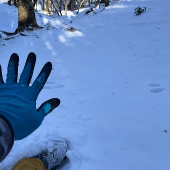 なんでもない、傾斜の緩い下り。

ノーマルシューズで、滑る滑る 😆💦