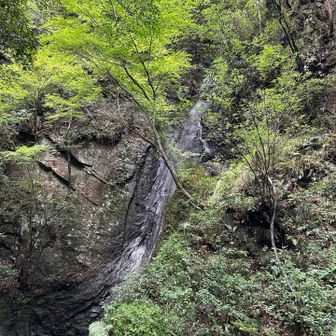 下山ルートの途中には滝が