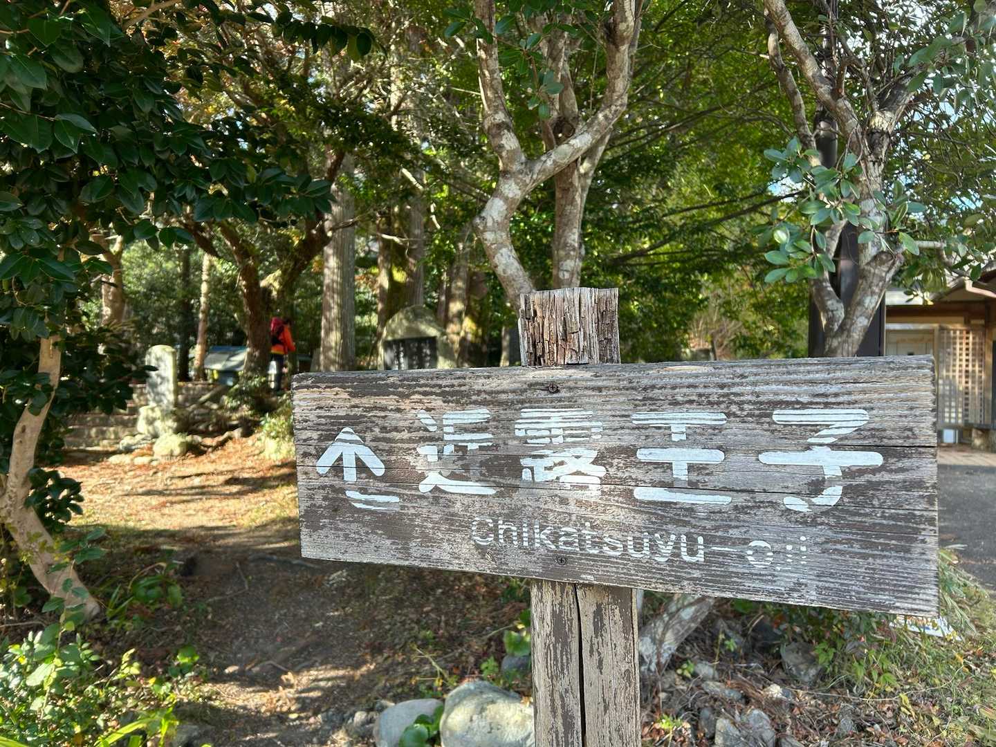 近露王子が近づいてきました