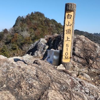 これぞTHE頂上、木々が周りになく360度見渡せます。