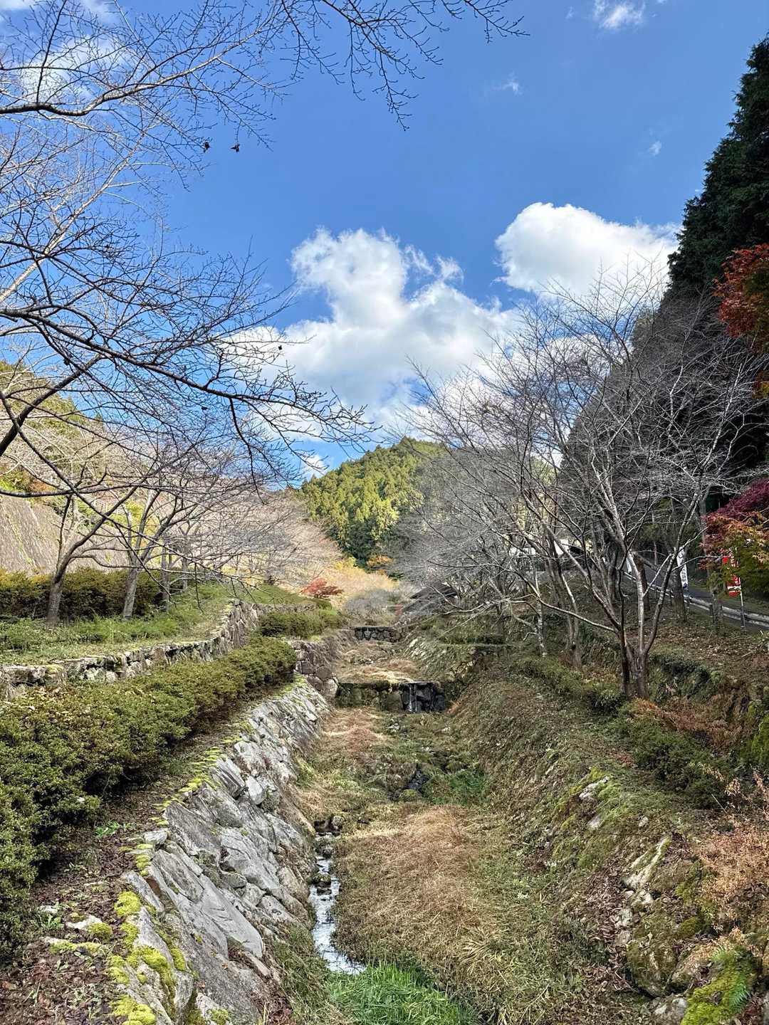 近所をウォーキングしていた方に
『山頂の高取城跡へ行かれるの？
紅葉がとっても綺麗だから
感動して来てね🍁✨✨
貴方の今日1日が
ハッピーでありますように✨✨』
と魔法のような言葉を頂いて
とても幸せな気持ちになりました😆✨