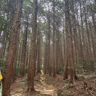 安らぎ素敵ポイント
やっぱり好きだなぁ🥰