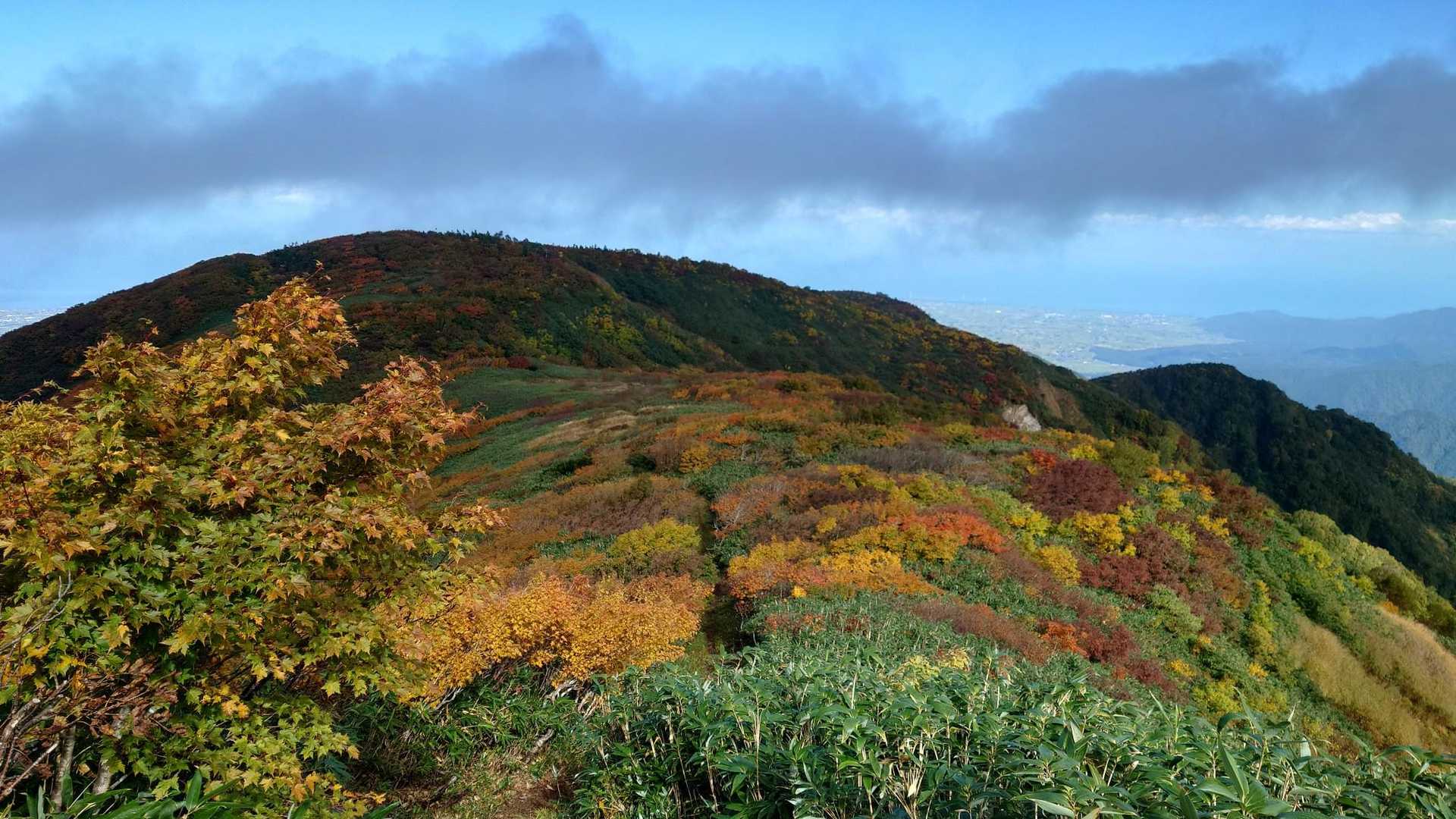 前僧ヶ岳-僧ヶ岳-北駒ヶ岳-駒ヶ岳 往復コースの写真