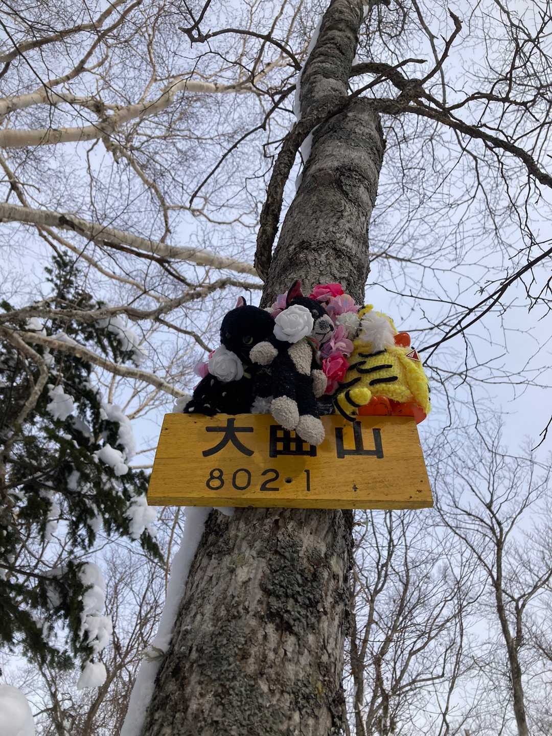 大曲山🏔ゲットだぜい🐥and🐈 あら❗️誰もいない⁉️この先は定山湖連山とやらのはず、しかもトレースはソロっぽい😄なんかヤマッパーSさんじゃないかなぁ・・なんて
なんて話してたら何と❗️後からデュカさんが😳3年に3度のバタリかぁ🤣