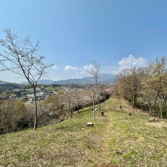 心地よい気温。ゴロンしたいくらい。
いやそれやるともう立ち上がれない💤