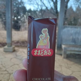 　補給〜
佐野ラーメン食べに寄った佐野SAで買った、ままどおるチョコ味😋
ちなみに、ゆべしも息子たちに買って帰ったよ👍️

さて、下山下山。