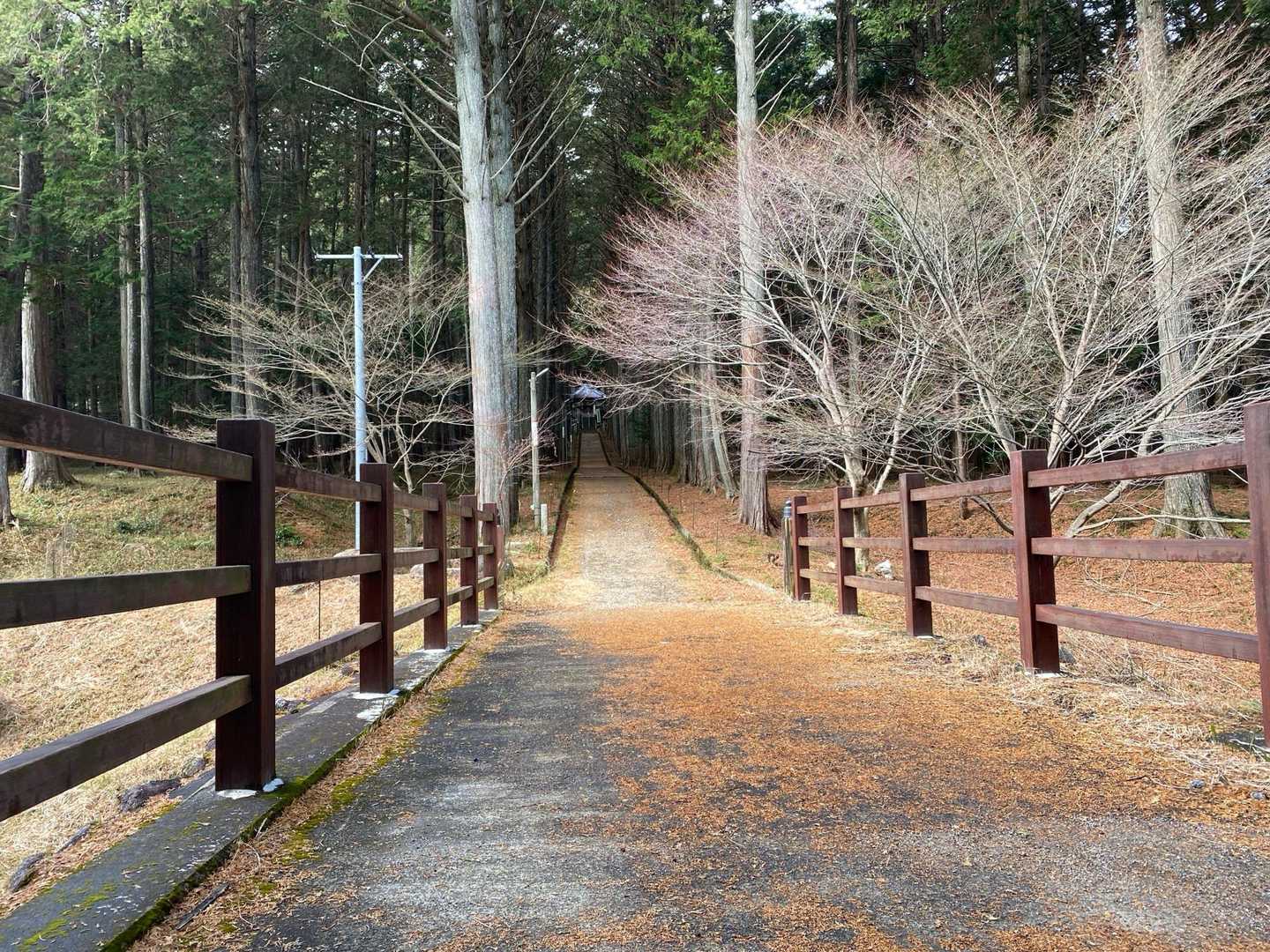 尾高観音-尾高山 往復コースの写真