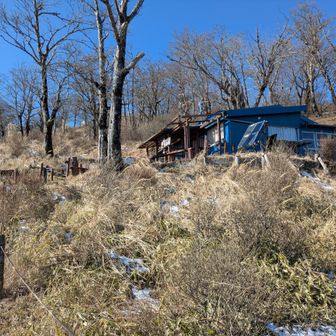 檜洞丸直下の青ヶ岳山荘。管理人みたいな方がベンチ塗ってた