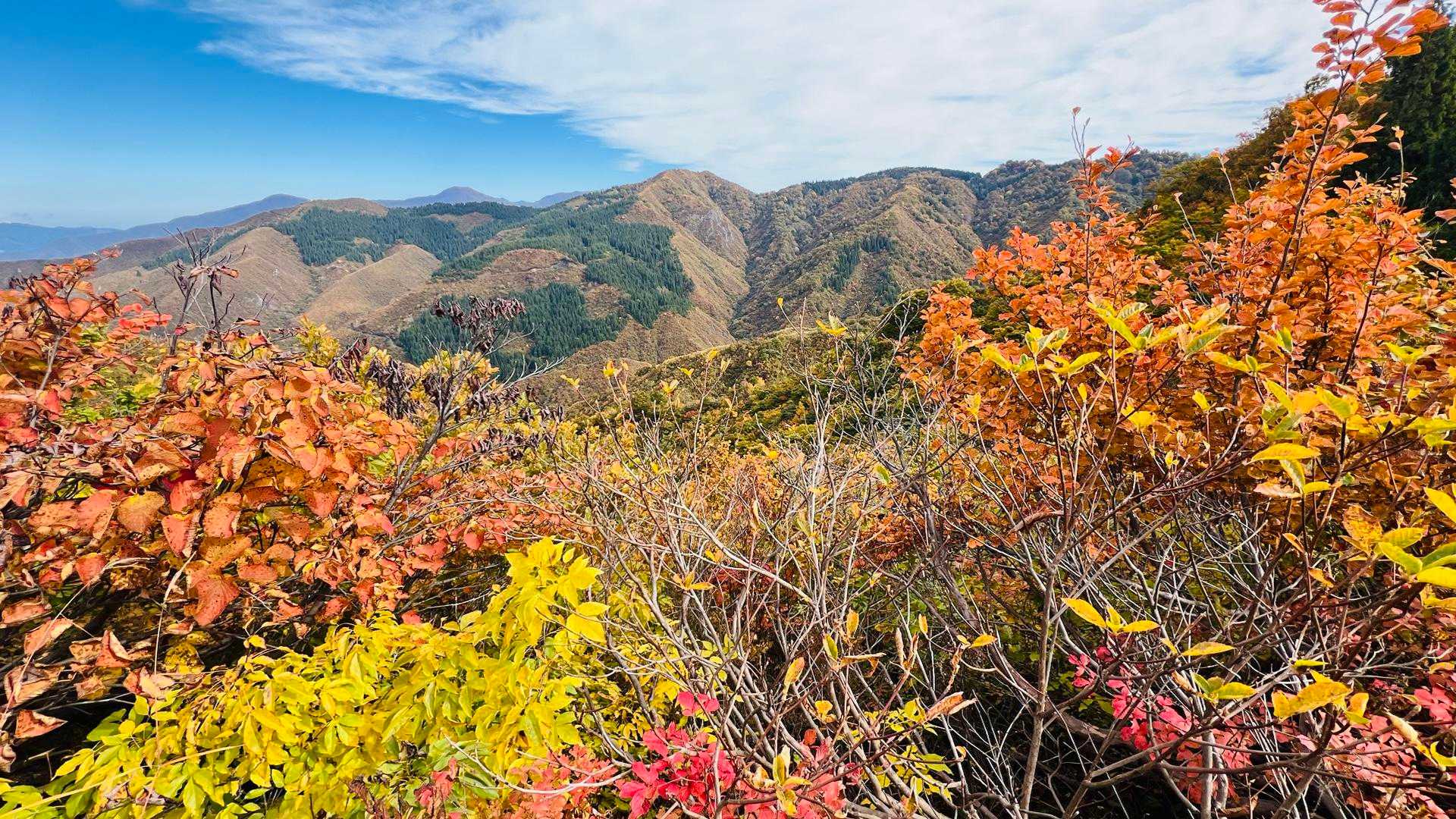 グルっと周回する鳴倉山方向⛰️
遠い😮‍💨