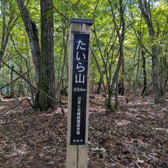 山頂🎉👍