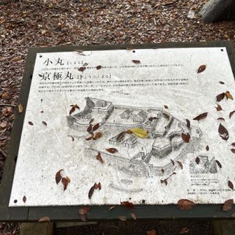 戦はやるかやられるかですねー😨