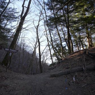 仏峠ー
ﾊｱﾊｱ(￣▽￣;)💦

ココから先は何度も歩いてるので安心して歩けるわ。