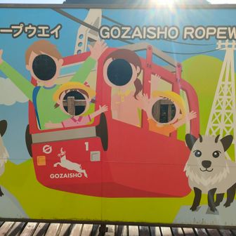 カモシカ会わず🥴