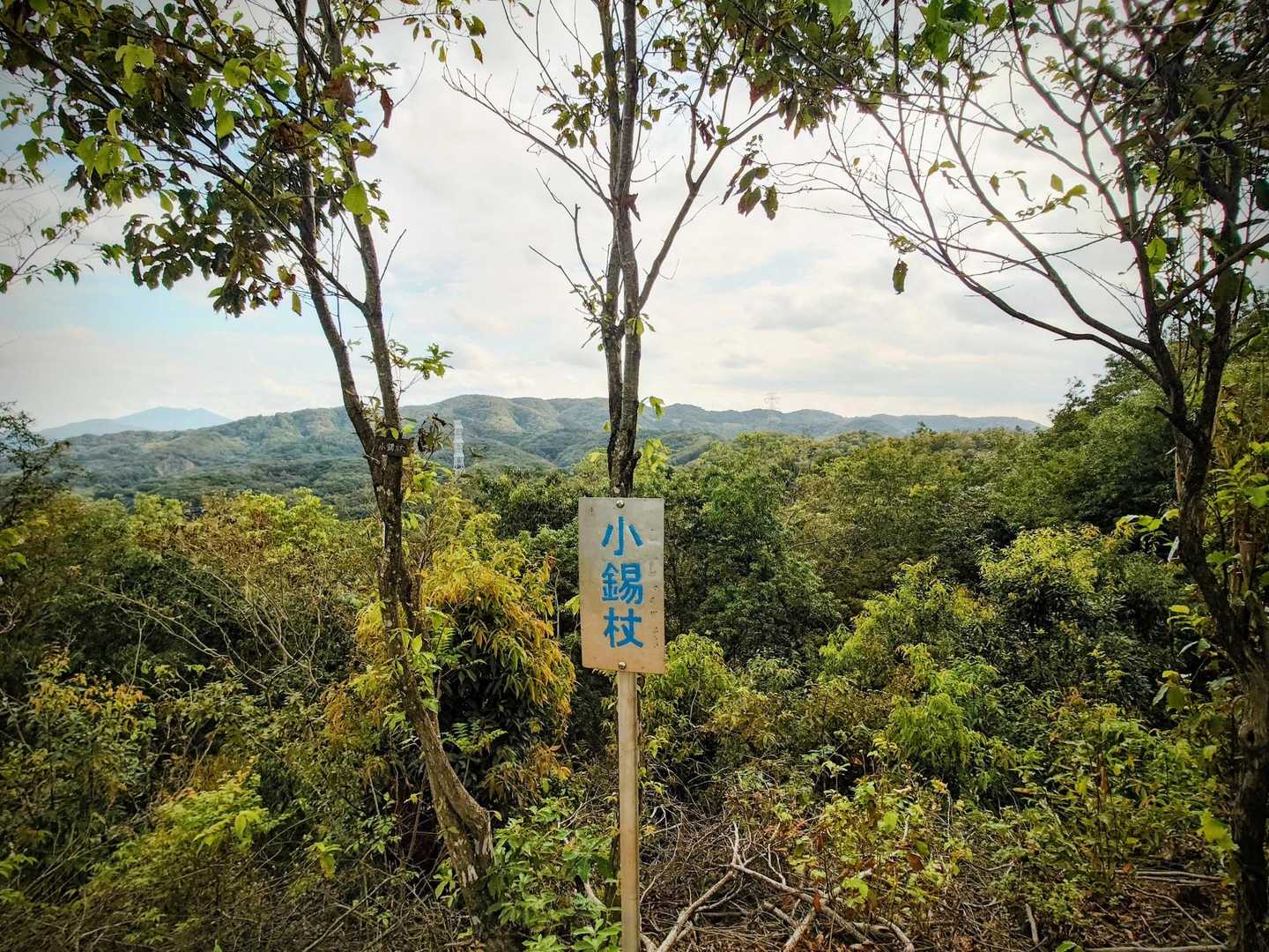 小錫杖①