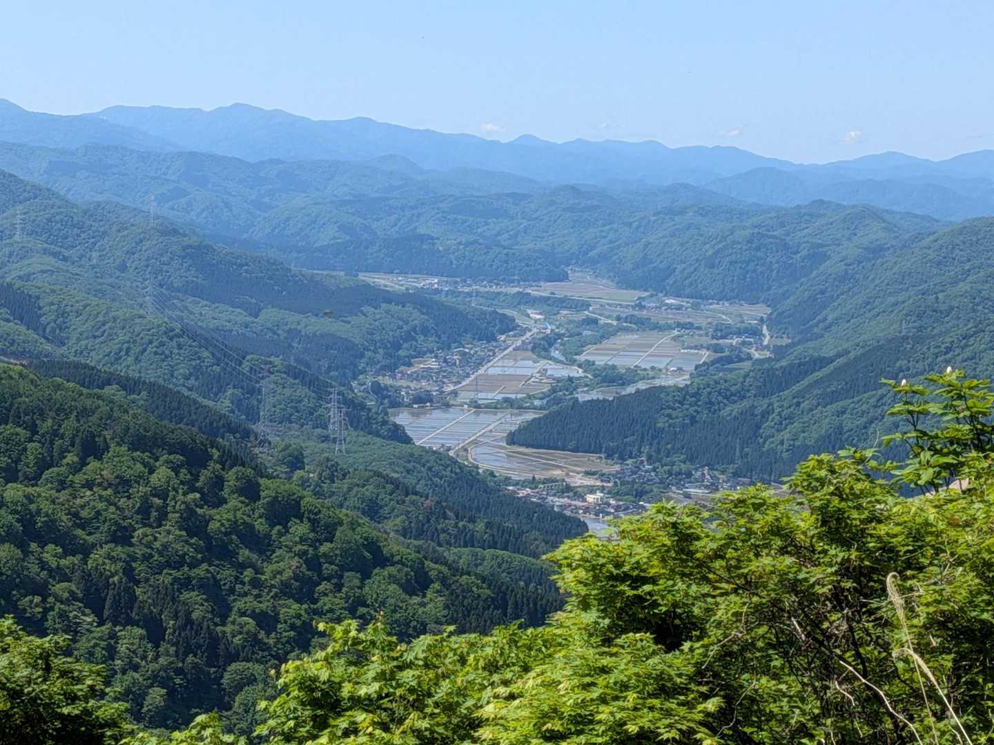 水が張られた田園風景