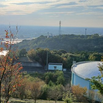 広域調整池、ソニーの工場が見える、幸田方面。手すりにいた茶色いカマキリと遊んだ。