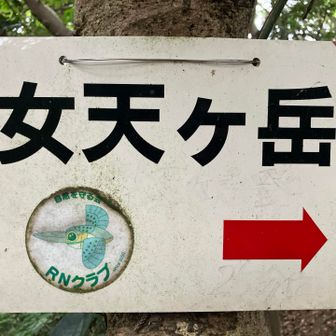次は女天ヶ岳だ。
「自然を守る会 RNクラブ」で検索しても何も出てこなかった。