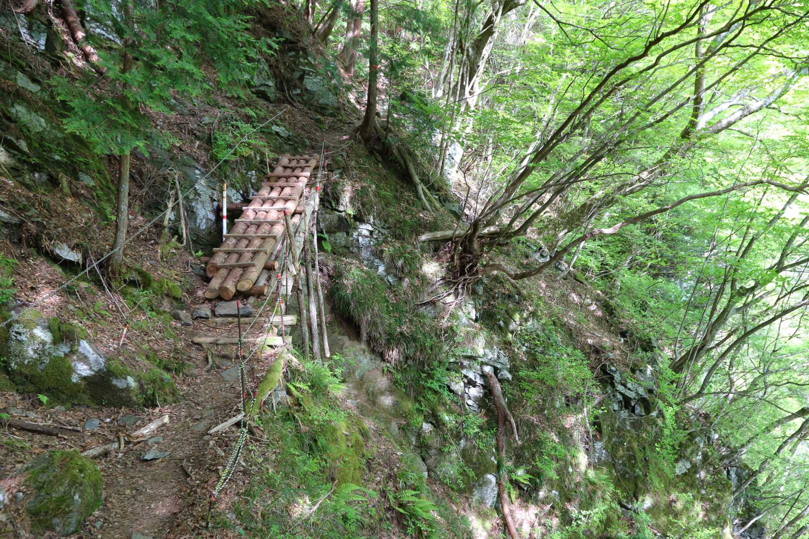 筏津登山口-東赤石山 周回コースの写真