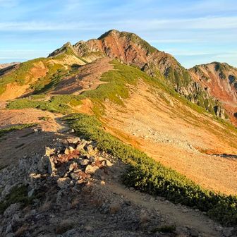 鷲羽方面から水晶岳