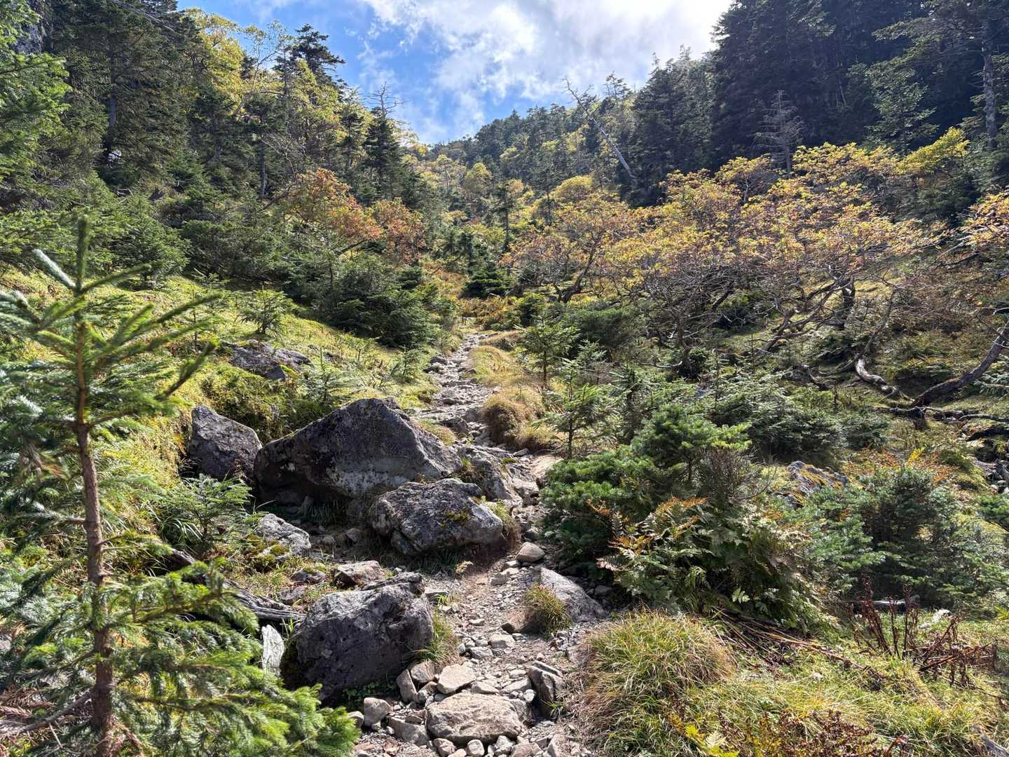 樹林帯を抜けたと思ったら岩場の急登。