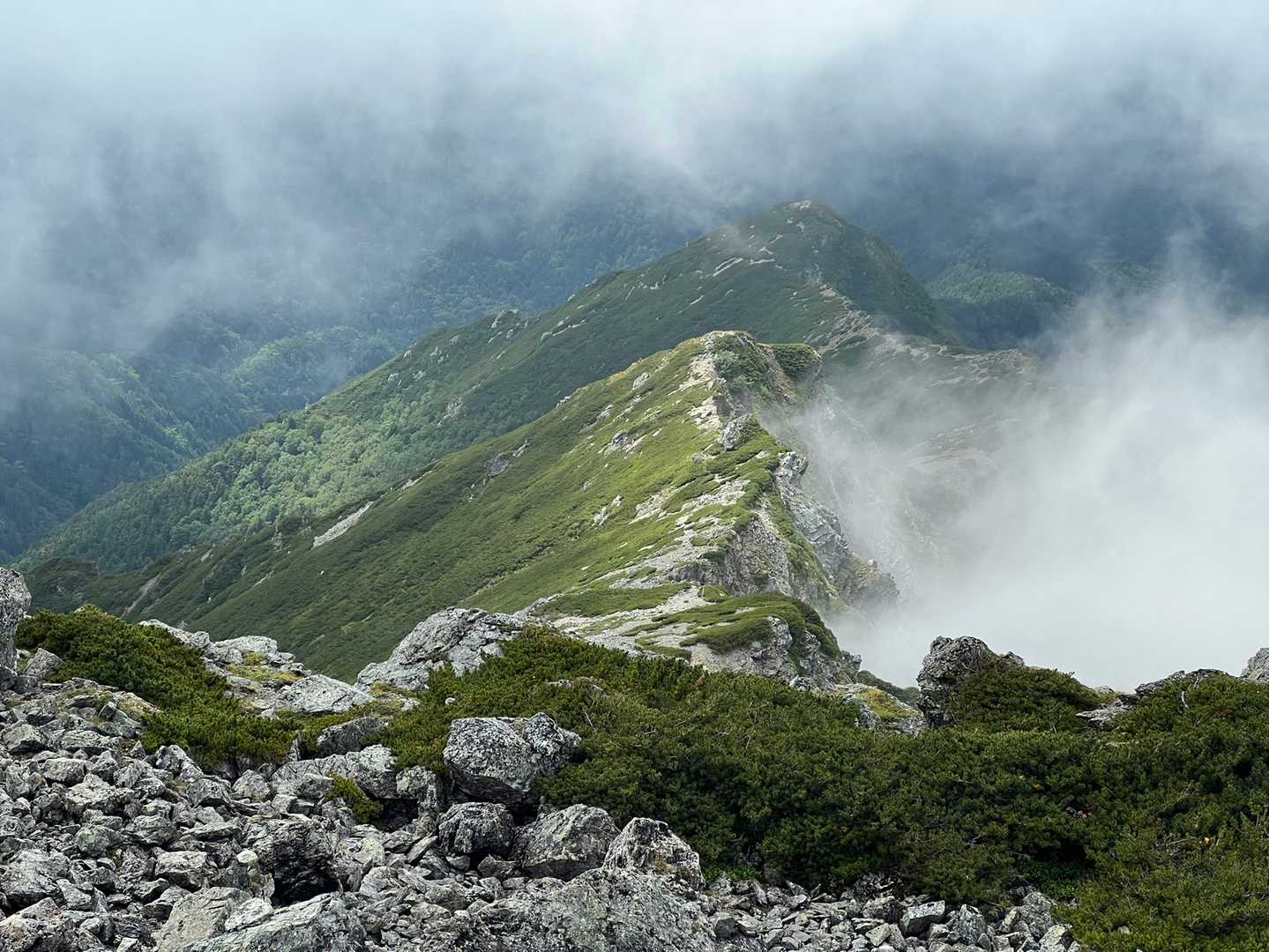 北岳 | 巨大な岩壁を抱く日本第2の高峰へ、池塘や花々に癒されながら挑むの写真