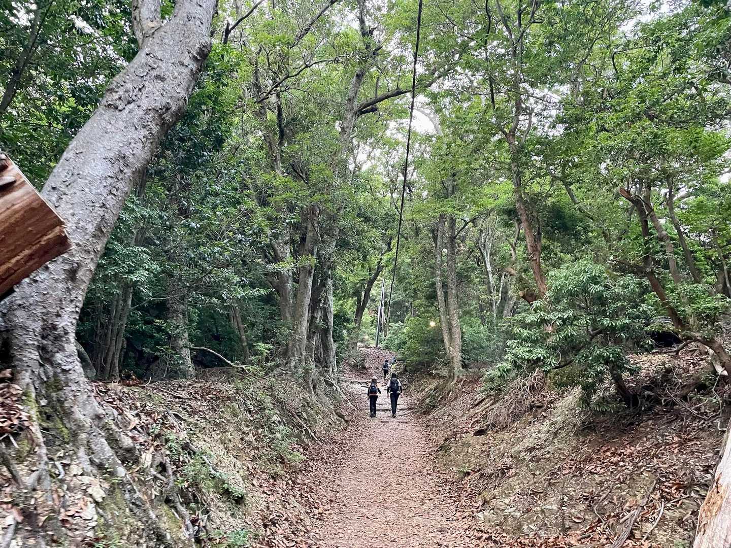 ド健脚な二人は、どんどん先を行く