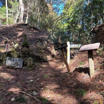 仏坂峠を通過🚶‍♀️ ここからけっこう上ります💦