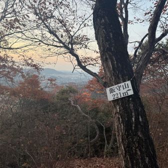 3.飯守山、この頃にはすっかり明るくなってヘッデン外しています。