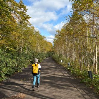あとは舗装路歩き🚶‍♀️