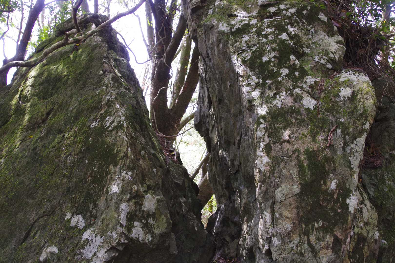 ぱっくり岩
