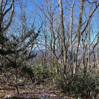 どっちの方だろ