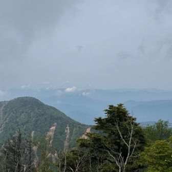 鶏頂山の奥に雪山🏔️
尾瀬か…谷川岳かな❓
帰るぞっ🎶