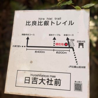 比良比叡トレイル